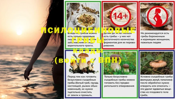 шишки Алексин