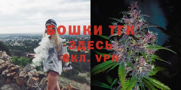 гидропоника Алзамай