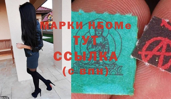 гидропоника Алзамай