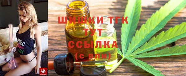шишки Алексин