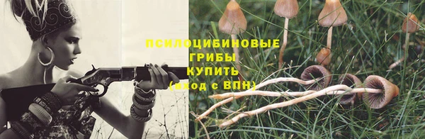 шишки Алексин