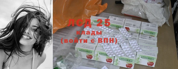 шишки Алексин