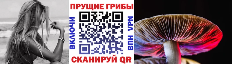 где можно купить наркотик Фатеж Галлюциногенные грибы мицелий