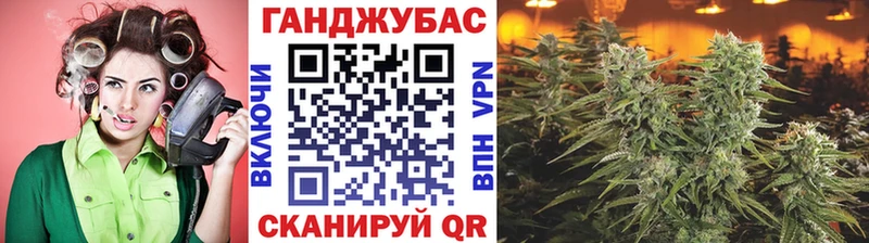 Конопля план  Фатеж 